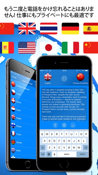 Web Translator Profes... screenshot1