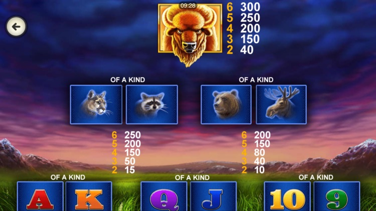 Buffalo Blitz Slot Machine screenshot-3