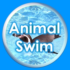 Activities of Animal Swim Silhouette Touch