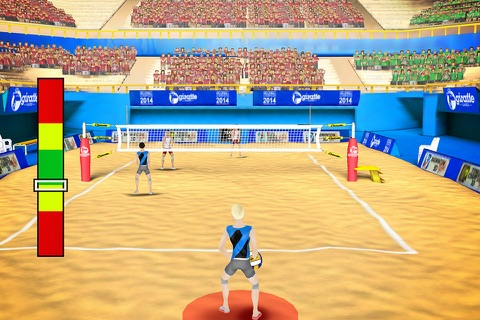 Volleyball Champions 2014 - náhled