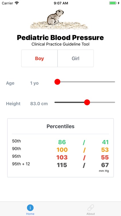 Pediatric Blood Pressure Guide