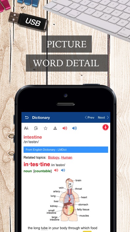 LMDict - English Dictionary