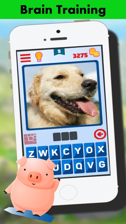 Animal Kingdom Quiz Name screenshot-3