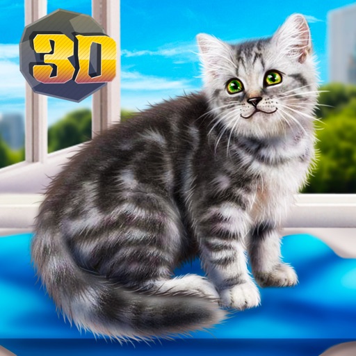 Home Kitty City Survival Sim iOS App