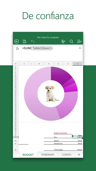 descarga de torrent de Excel para Mac