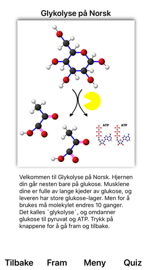 Glykolyse