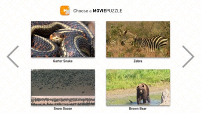 MoviePuzzles – Wild Animals screenshot 4