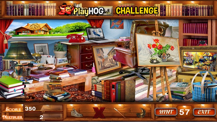 Private Library Hidden Objects