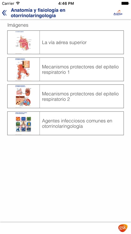 Miniatlas de las vías respiratorias altas