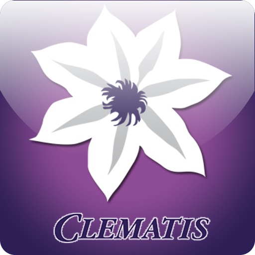 Taylors Clematis