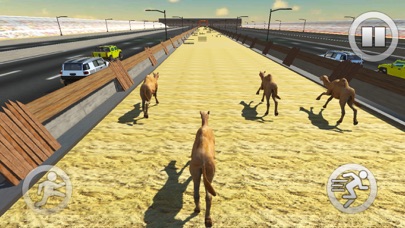Desert Camel Race 2018 screenshot 2