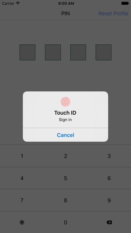 Pocket Secure screenshot-4