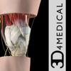 Knee Pro III for iPad