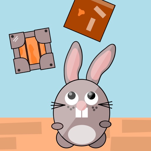 Little Rabbit Escape icon