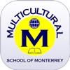 Multicultural School