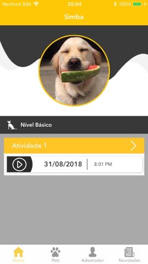 Cão Cidadão(圖1)-速報App