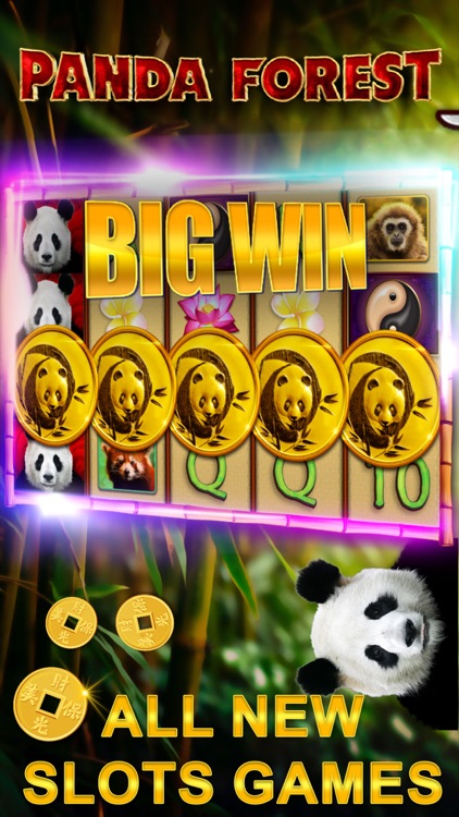 Good Fortune Slots Casino Game