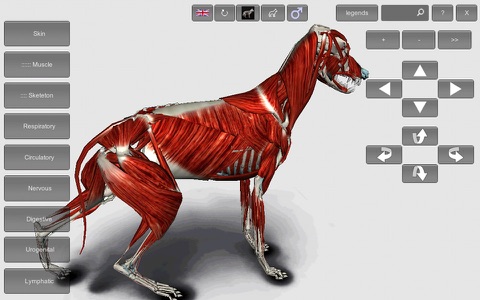 3D Canine Anatomy screenshot 2