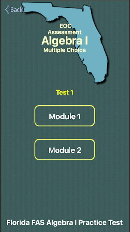 FL FAS Algebra I Practice Test