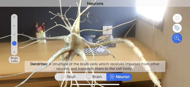 Brainapse(圖4)-速報App