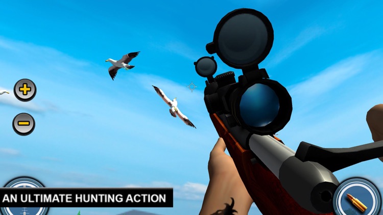 Bird Shooting Adventure