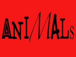 Have fun with Animal Faces