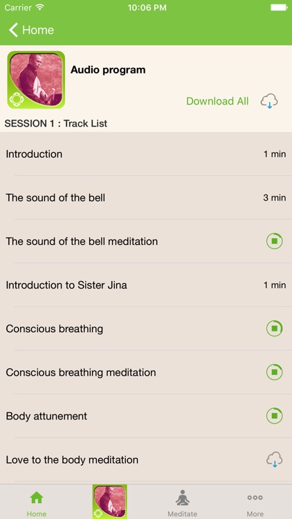 Plum Village Meditations — Thich Nhat Hanh