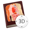 Anatomy Lesson 3D Human Body