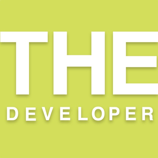 THE DEVELOPER PROPERTIES