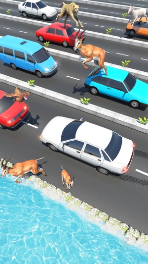 Animal Pet Traffic Crossing(圖4)-速報App