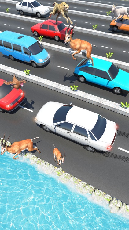 Animal Pet Traffic Crossing screenshot-3