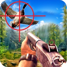 Activities of Duck Turkey Hunting Simulation