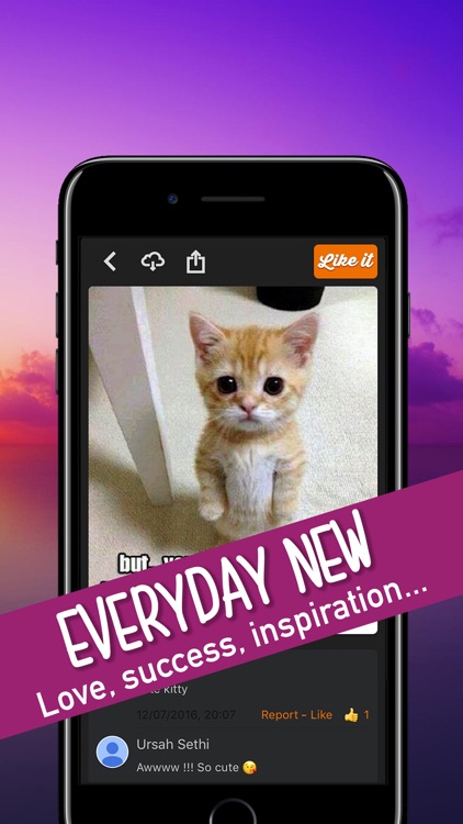 Quotes Pictures & Videos daily