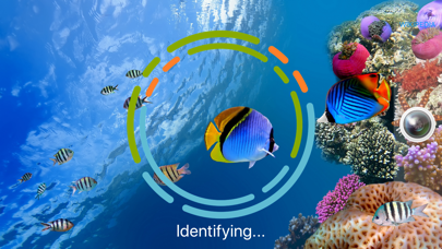 FishSnap - Fish Identification screenshot 2
