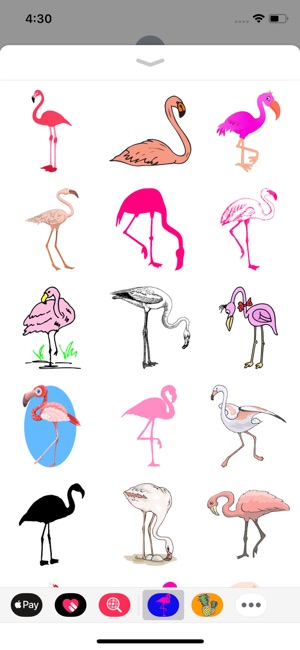 Trendy Flamingo(圖1)-速報App