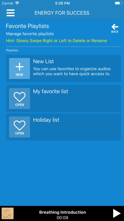 Audio - Energy For Success