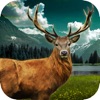 Jungle Deer Shooting Challenge