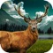 Kill the deer in this amazing hunting game