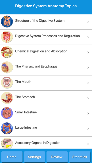 Human Digestive System Anatomy screenshot 2
