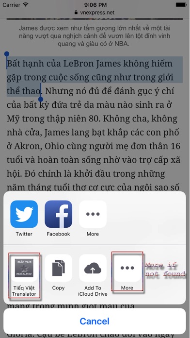 Tiếq Việt Translator screenshot 3
