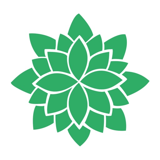 Lotus Health