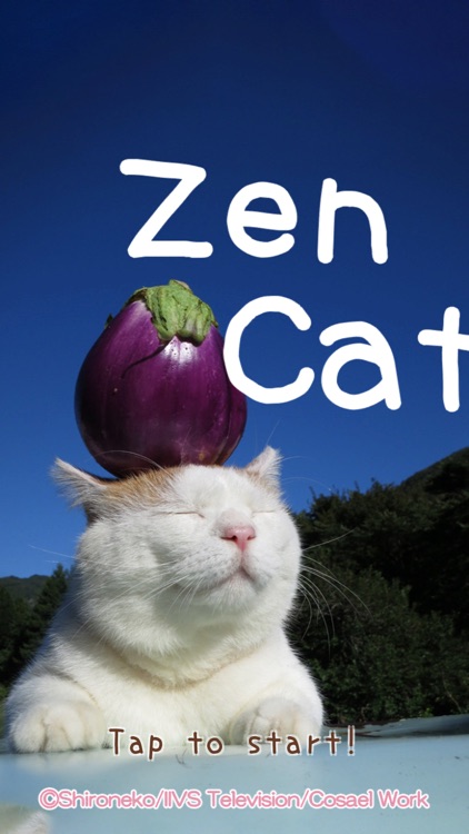 zen-cat