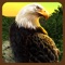 American Eagle Freedom Run
