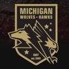 Michigan Wolves Hawks East