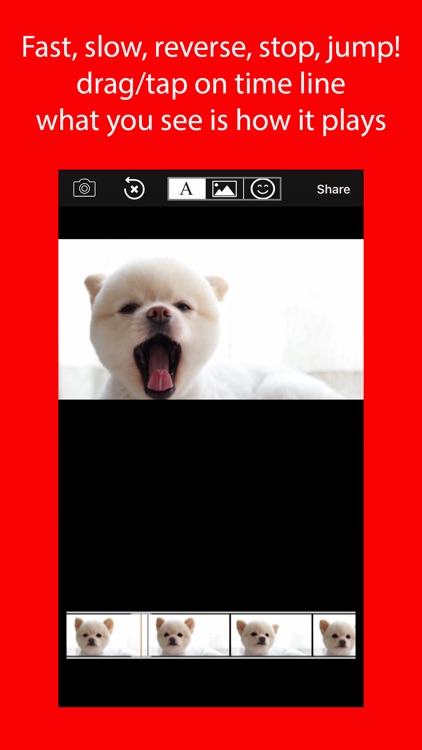 Video Speed Up Pro Slow Rewind screenshot-0