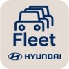 Hyundai Fleet Link hyundai blue link 