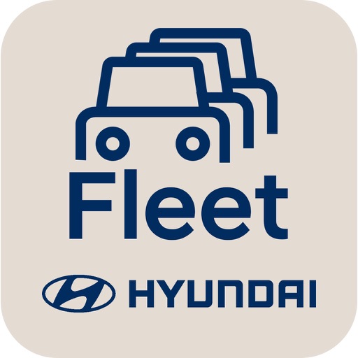 Hyundai Fleet Link