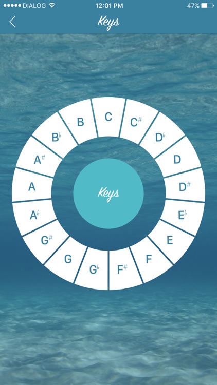 1 Step Ahead: Music Theory screenshot-3