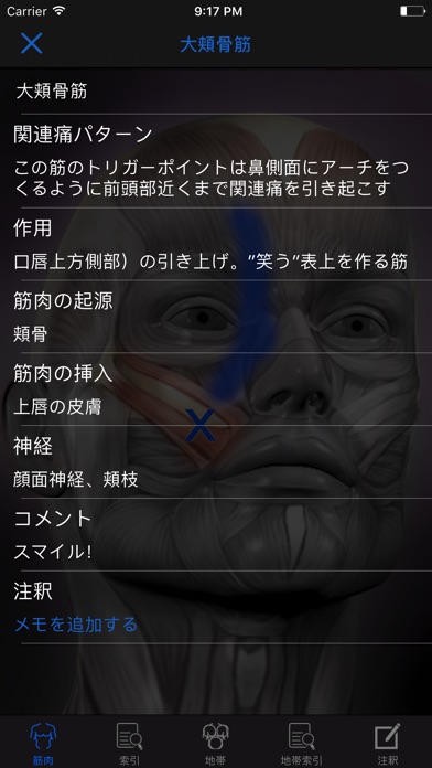 筋のトリガーポイント:ガイド&リファレンス screenshot1