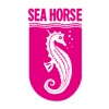 SeaHorse Mattress mattress sales near me 